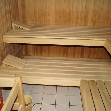 60 M2 Mit Hallenbad Und Sauna Apartment Davos